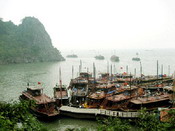 Transport in Halong or to Halong