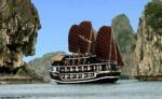 Paloma Cruise 2 days 1 night